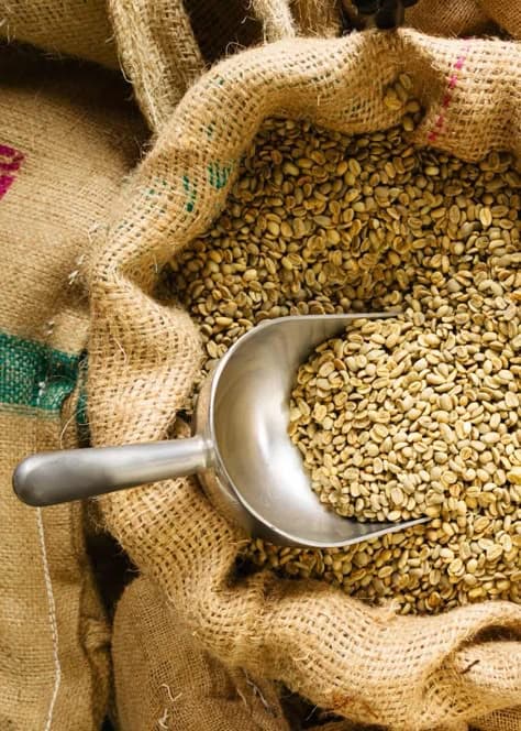 Ethiopian Coffee Farmer